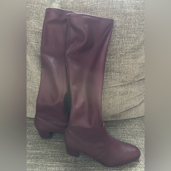 Stuart Weitzman Shoes - STUART WEITZMAN Ladies Size 7.5 Burgandy Leather Tall Heeled Boots